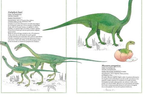 Inventario ilustrado de dinosaurios