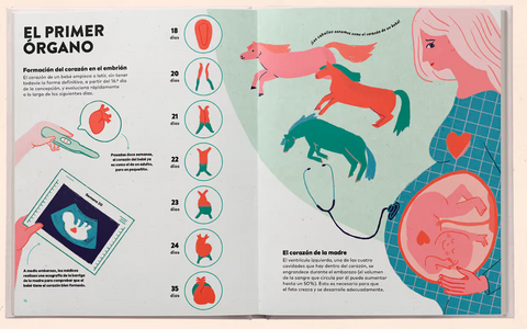 Un corazón: historia, ciencia y mucho amor