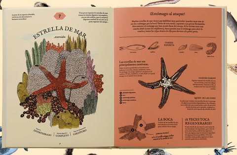 Comepedia