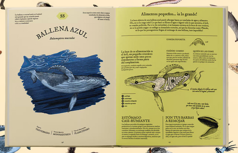 Comepedia