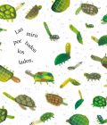 Tortuga
