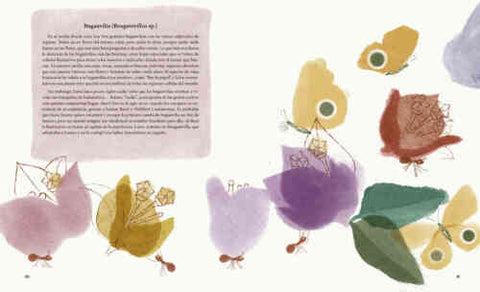 Viriditas: mujeres que nos descubrieron el maravilloso mundo de las plantas