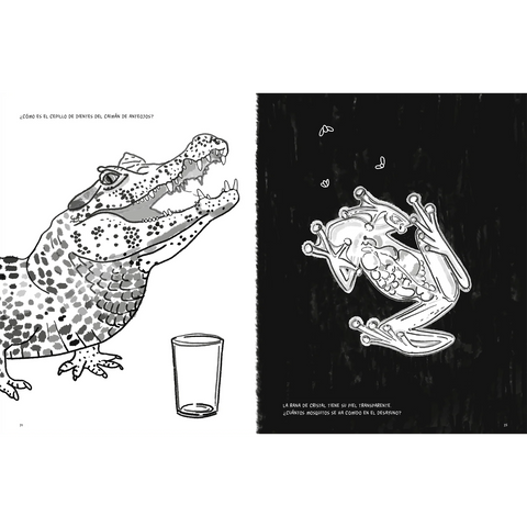 Anfibios y reptiles: bitácora para imaginar - Leo Leo Libros