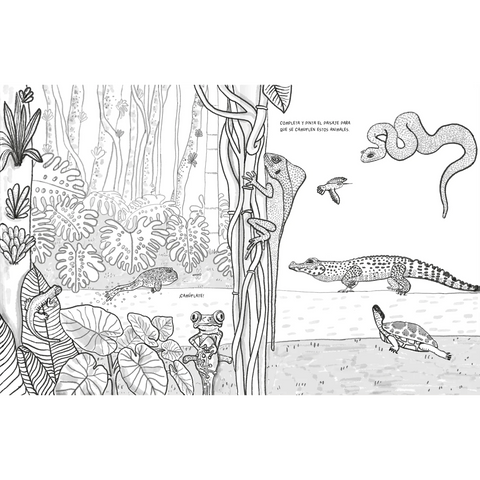 Anfibios y reptiles: bitácora para imaginar - Leo Leo Libros