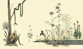 ¡Qué absurdo!: La curiosa historia de Edward Gorey - Leo Leo Libros