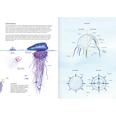 Misteriosas Medusas - Leo Leo Libros