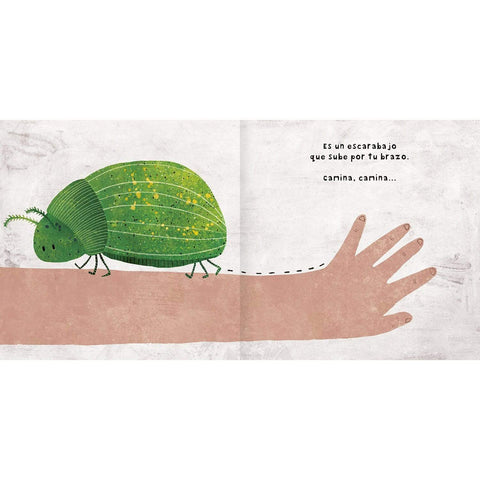 Menudos bichos - Leo Leo Libros