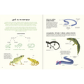 Agua y tierra: anfibios y reptiles de América - Leo Leo Libros