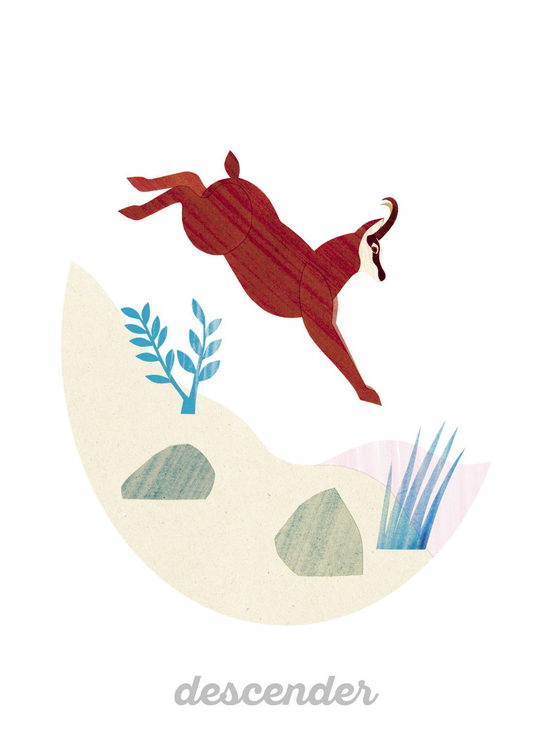 Animales en movimiento
