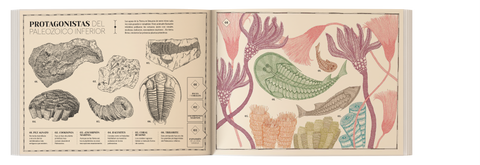 Paisajes perdidos de la tierra - Leo Leo Libros