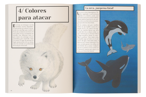Color animal - Leo Leo Libros