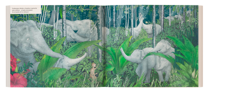 Cuando la selva desaparece - Leo Leo Libros