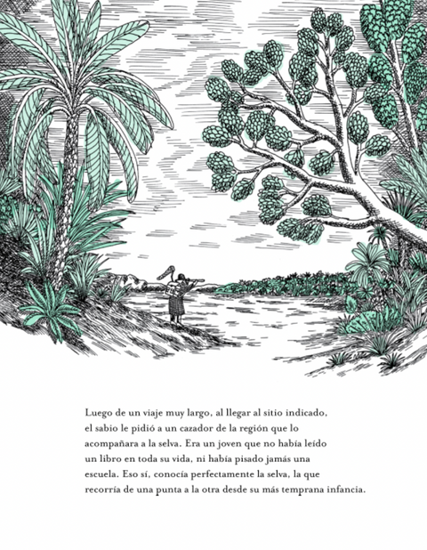 PANTHERA trigris - Leo Leo Libros