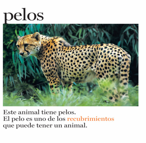 Pelos y más pelos - Leo Leo Libros