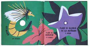 ¿Cuánto tiempo viven? - Leo Leo Libros