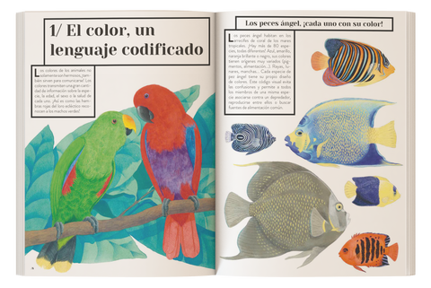 Color animal - Leo Leo Libros