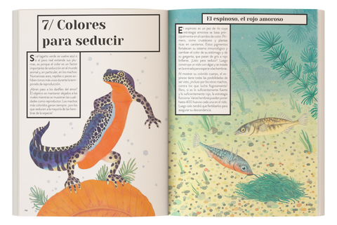Color animal - Leo Leo Libros