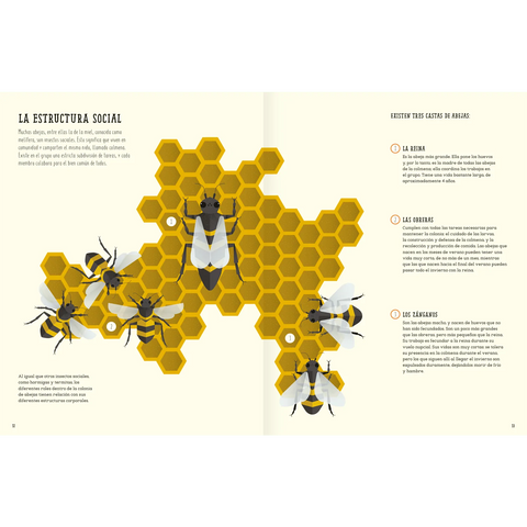 El mundo de las abejas - Leo Leo Libros