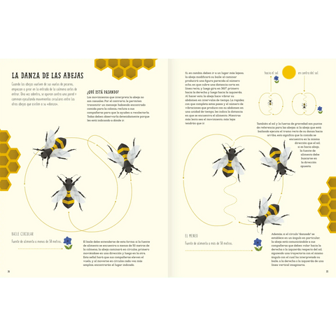 El mundo de las abejas - Leo Leo Libros