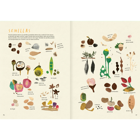 Explora tu mundo natural - Leo Leo Libros