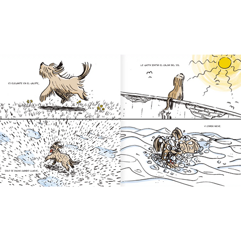Simplemente Burrus - Leo Leo Libros