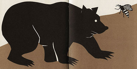 Sombras en la tierra