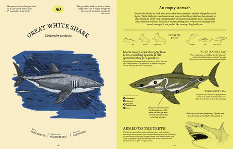 Eatopedia – The Wild World of Animal Digestion
