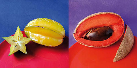 colores  sabores