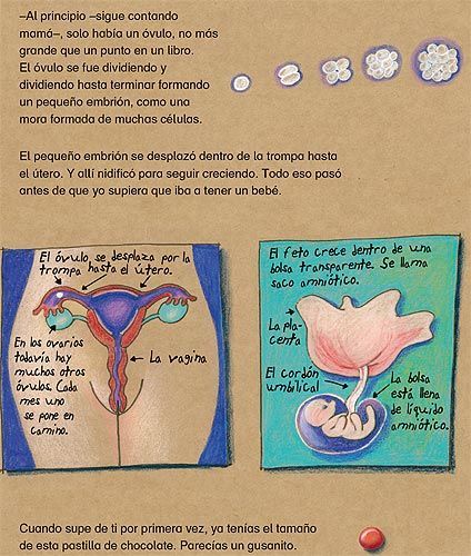 ¿Yo también estuve en tu barriga?