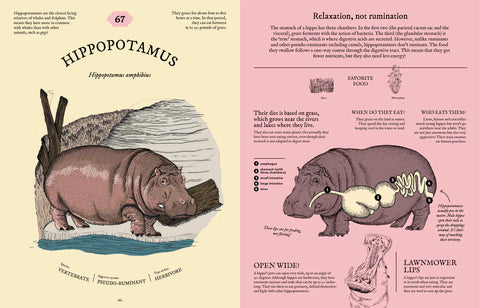 Eatopedia – The Wild World of Animal Digestion