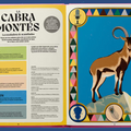 Superpoderes animales - Leo Leo Libros