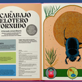 Superpoderes animales - Leo Leo Libros