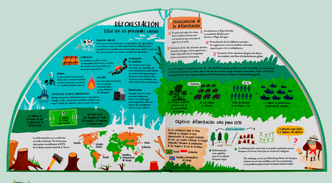 EXPLORA Los Bosques en 360