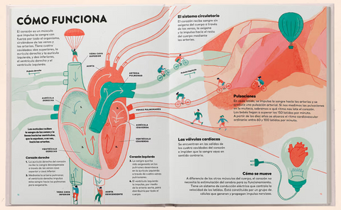 Un corazón: historia, ciencia y mucho amor