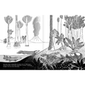 Anfibios y reptiles: bitácora para imaginar - Leo Leo Libros