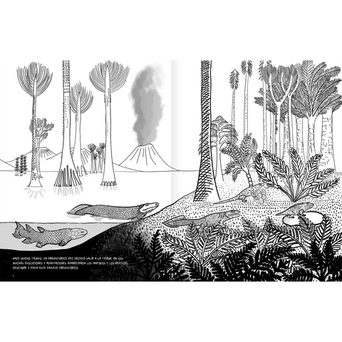 Anfibios y reptiles: bitácora para imaginar - Leo Leo Libros