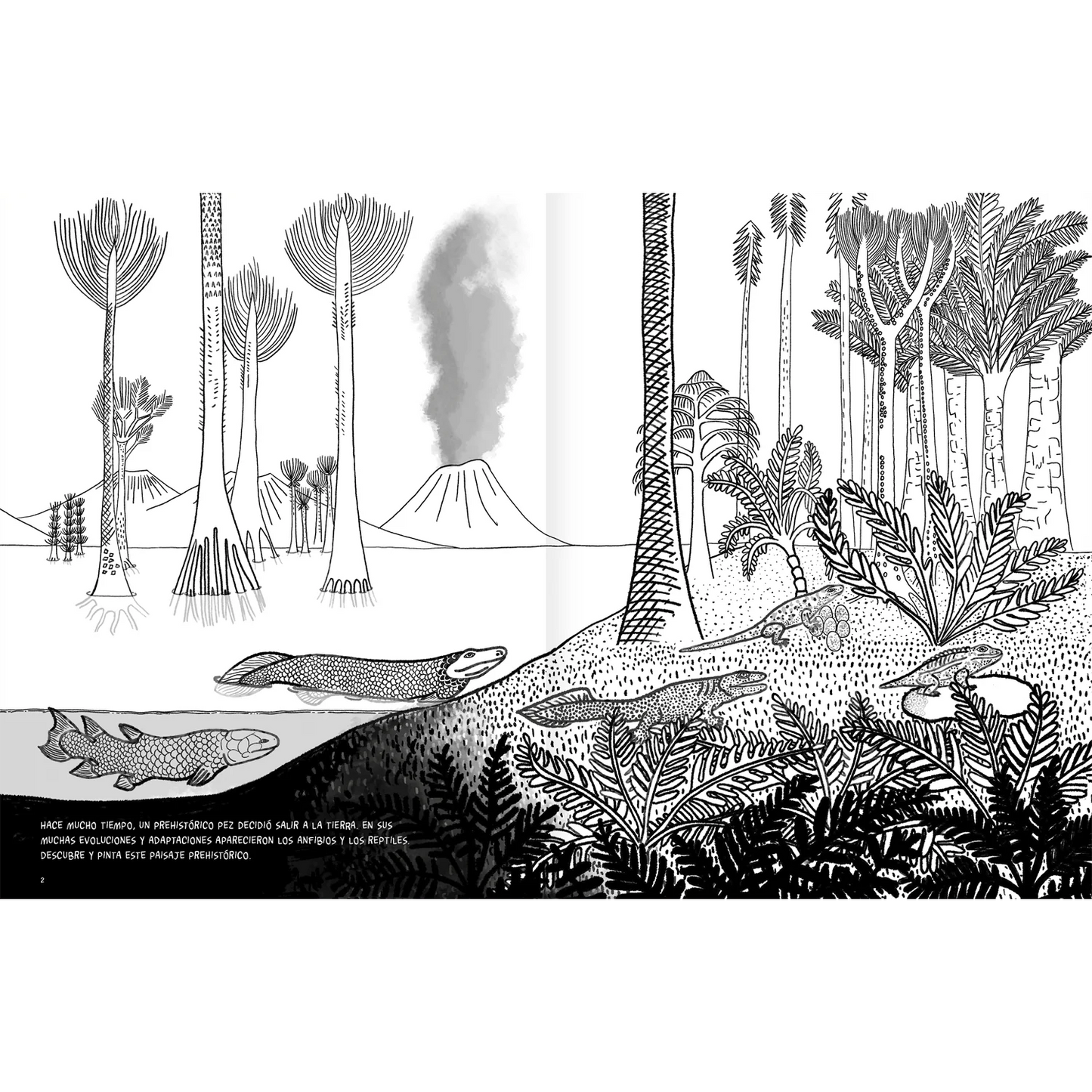 Anfibios y reptiles: bitácora para imaginar