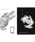 Anfibios y reptiles: bitácora para imaginar - Leo Leo Libros