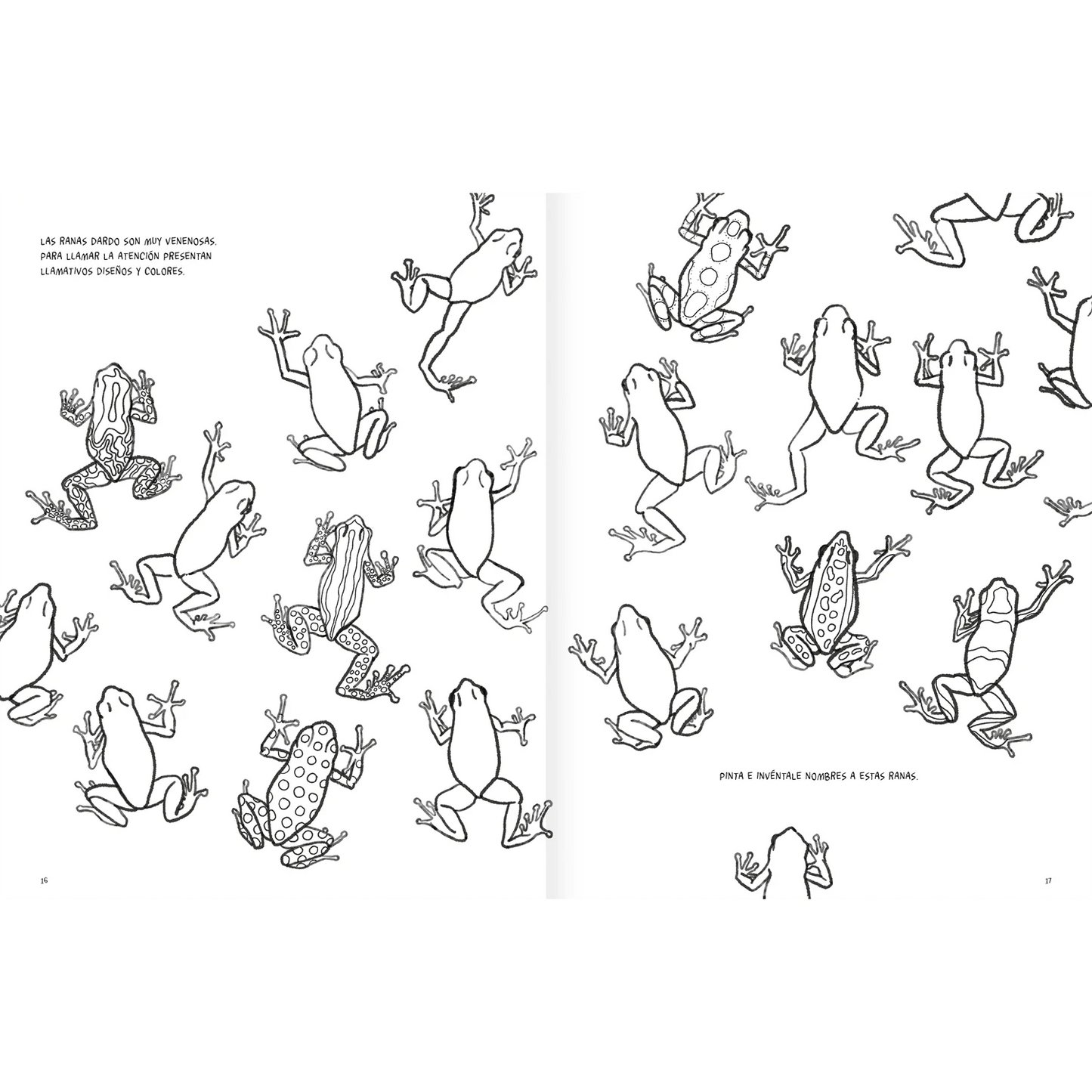 Anfibios y reptiles: bitácora para imaginar