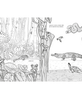 Anfibios y reptiles: bitácora para imaginar - Leo Leo Libros