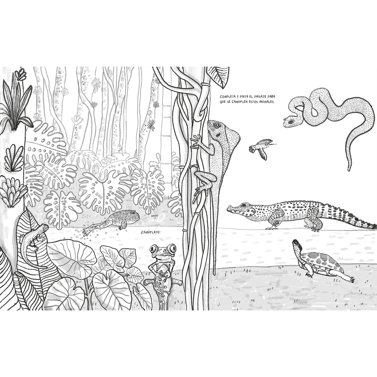 Anfibios y reptiles: bitácora para imaginar