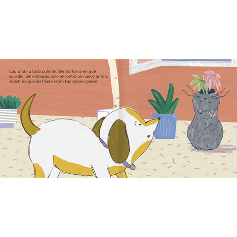 Benito y gato