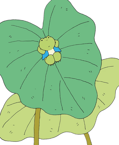 Reflexiones de una ranita