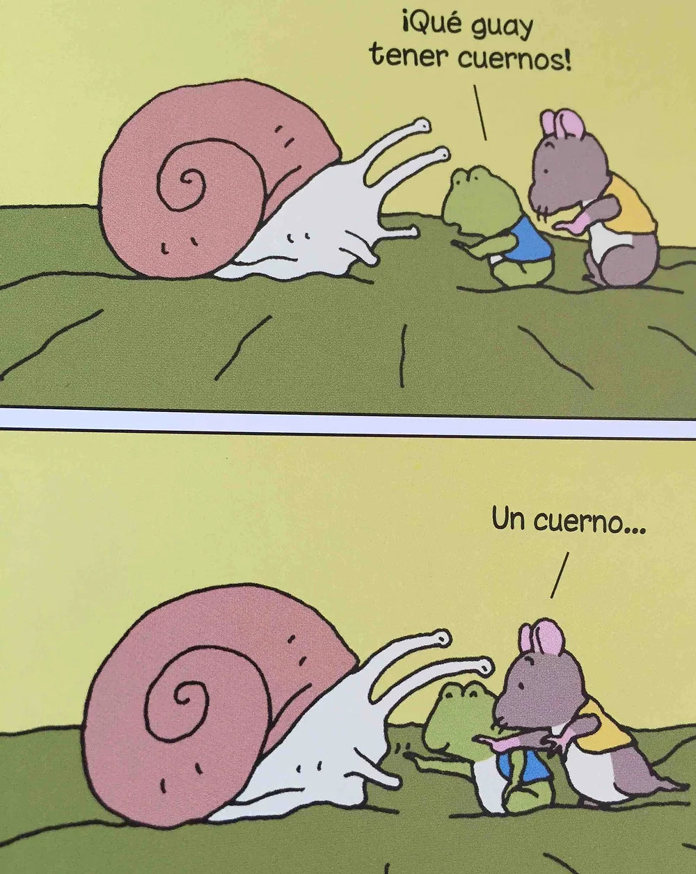 Reflexiones de una ranita