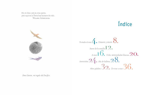 Interior de Carretera al mar — Cataplum Libros