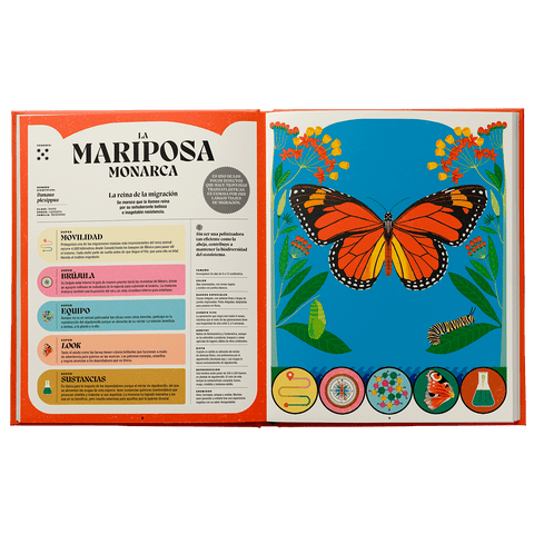 Superpoderes de los insectos