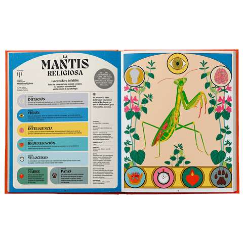 Superpoderes de los insectos