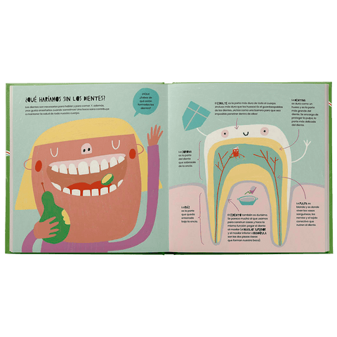 La vida secreta de los dientes