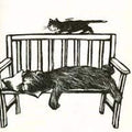 Yo aquí sólo soy el perro - Leo Leo Libros