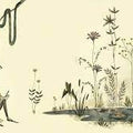 ¡Qué absurdo!: La curiosa historia de Edward Gorey - Leo Leo Libros